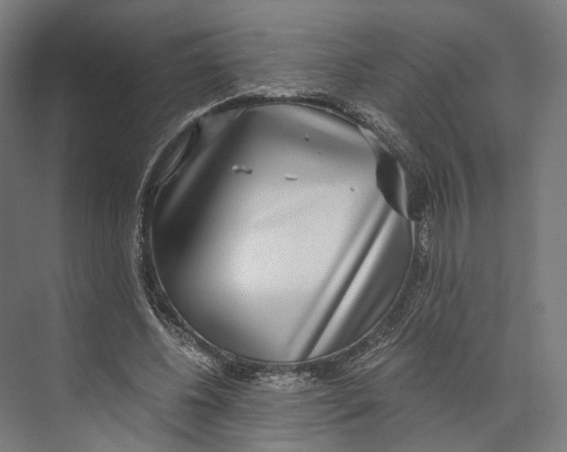 X0000073860540200609071636