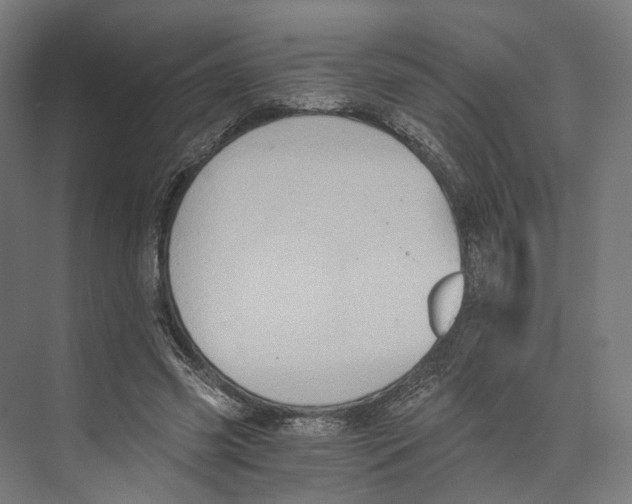 X0000073860541200609071636