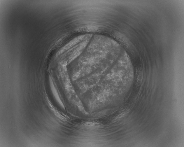 X0000073860542200609071636