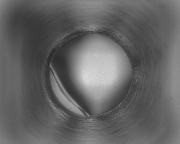 X0000073860544200609071636