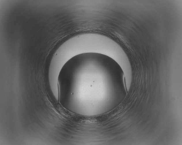 X0000073860548200609071636