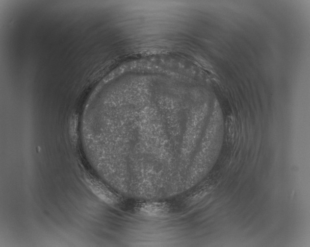 X0000073860550200609071636