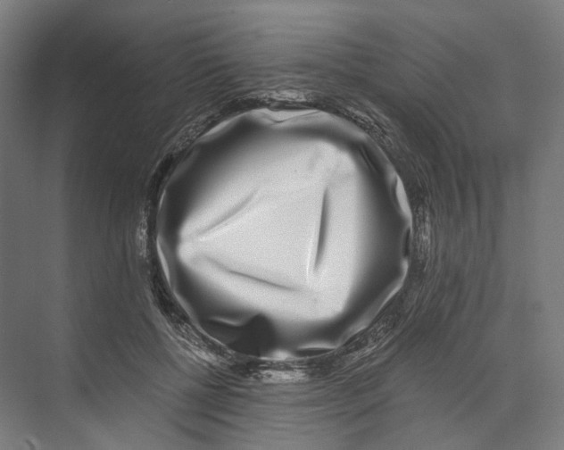 X0000073860552200609071636