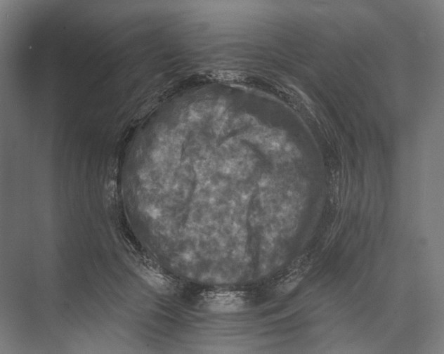 X0000073860553200609071636