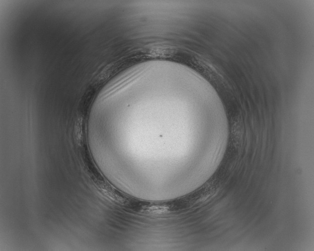 X0000073860554200609071636