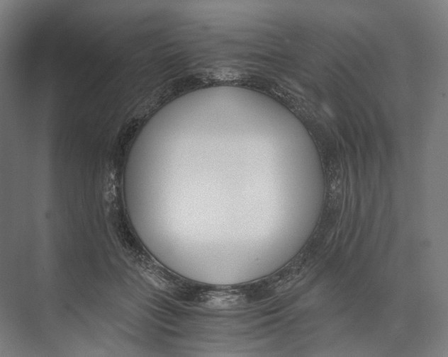 X0000073860555200609071636