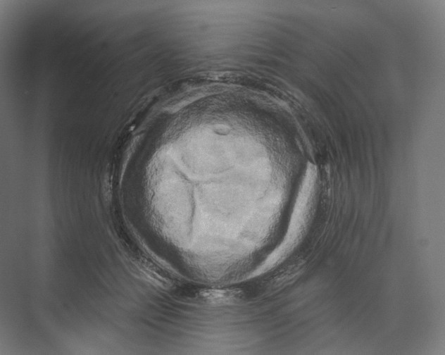 X0000073860558200609071636