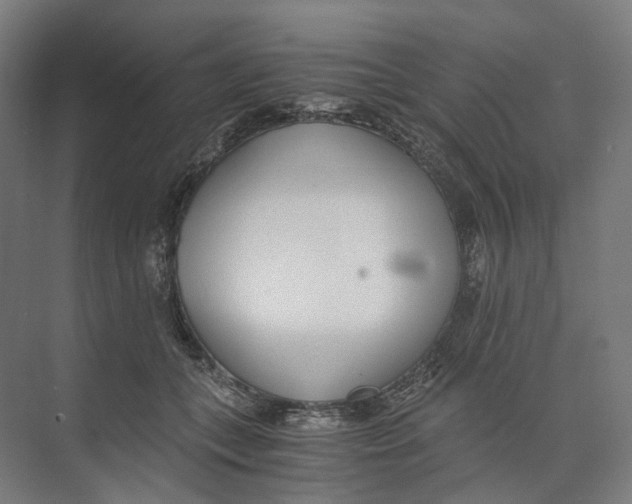 X0000073860559200609071636