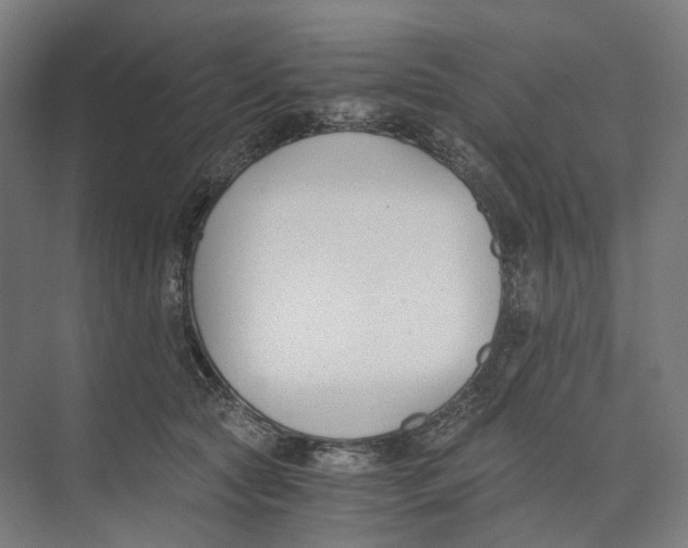 X0000073860561200609071636