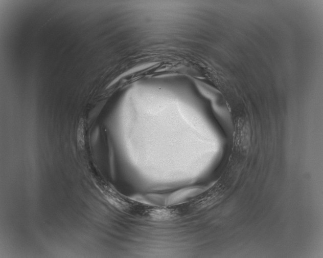 X0000073860562200609071636