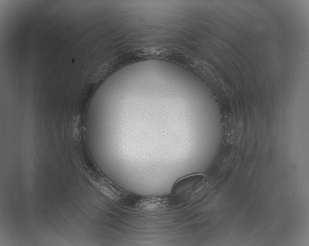 X0000073860563200609071636