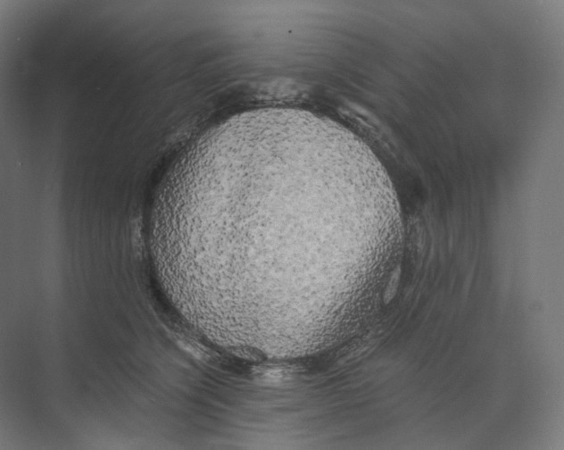 X0000073860564200609071636