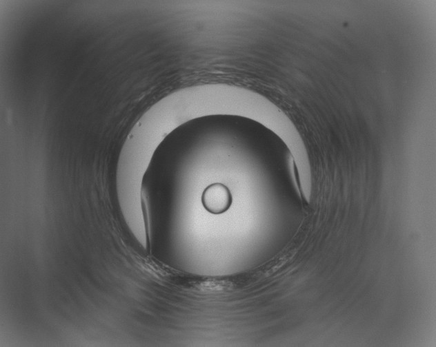 X0000073860566200609071636