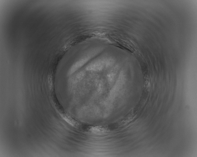 X0000073860568200609071636