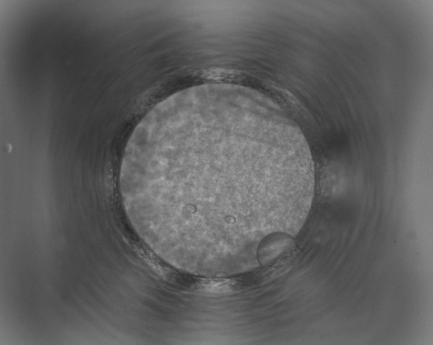 X0000073860569200609071636