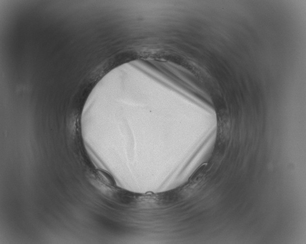 X0000073860574200609071636