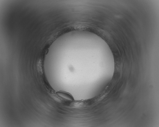 X0000073860575200609071636