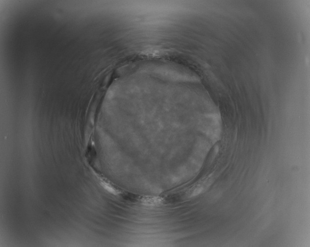 X0000073860576200609071636