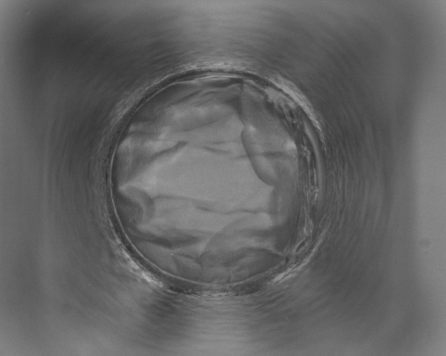 X0000073860577200609071635