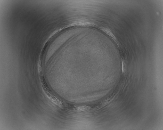 X0000073860579200609071635