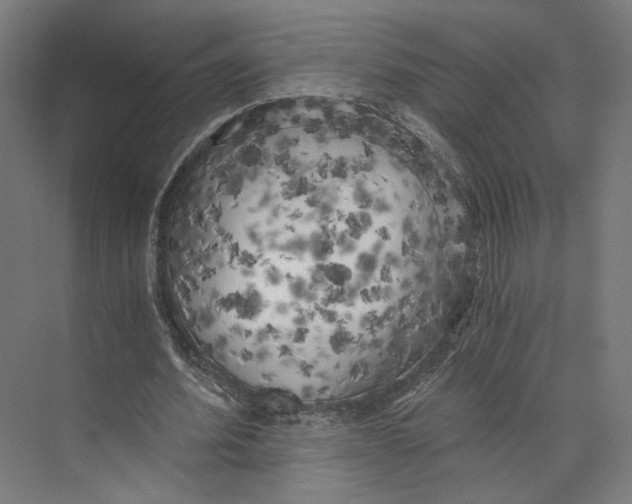 X0000073860580200609071635