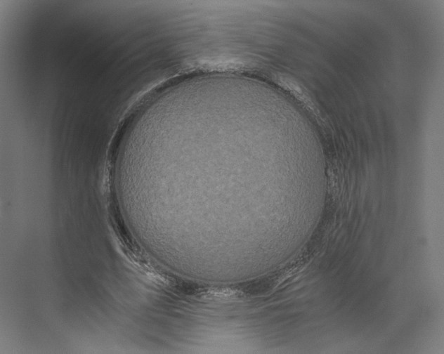 X0000073860583200609071635