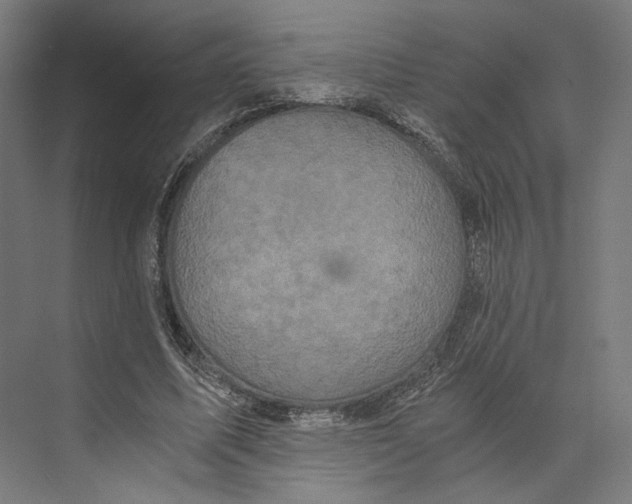 X0000073860587200609071635