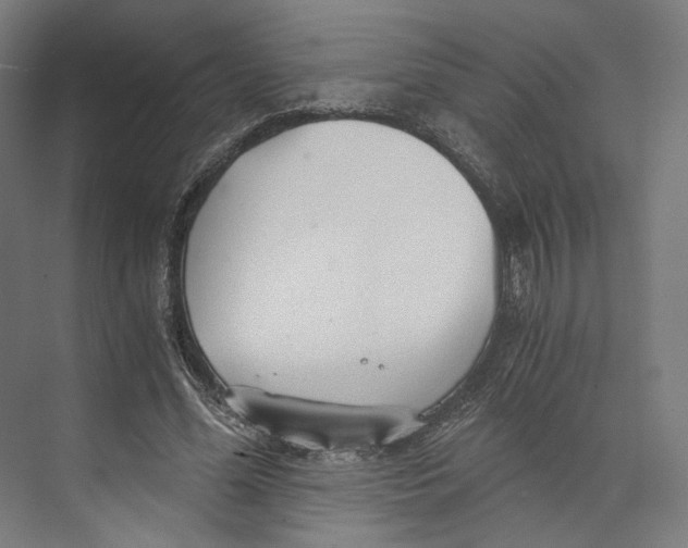 X0000073860588200609071635