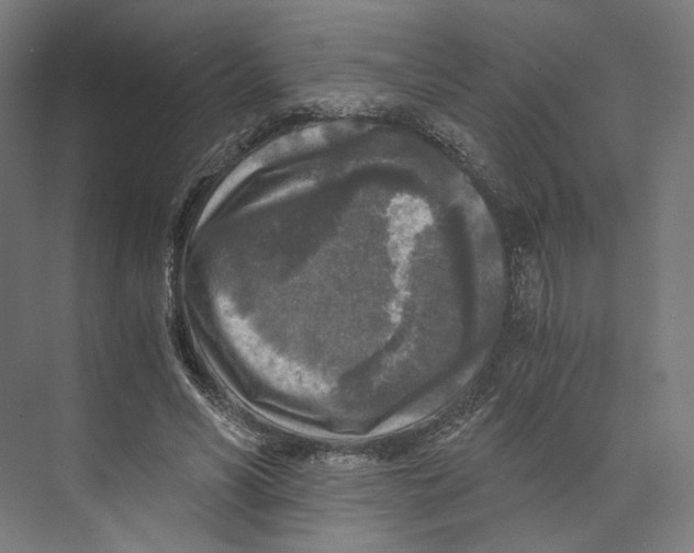 X0000073860590200609071635