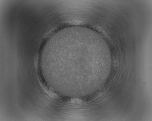 X0000073860591200609071635