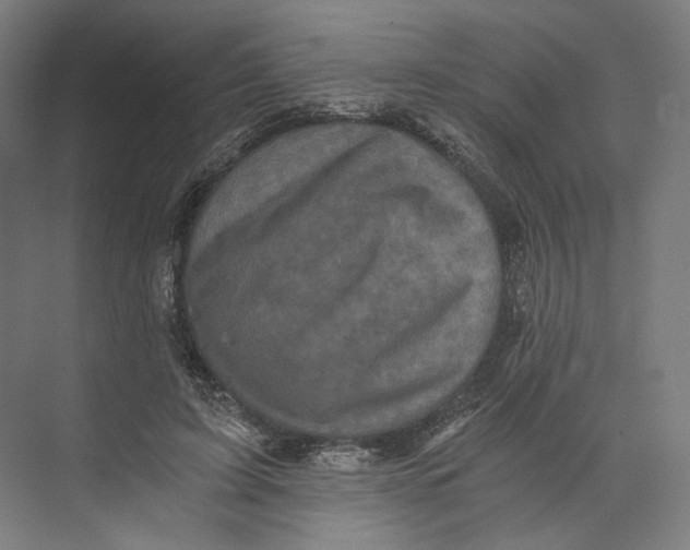 X0000073860595200609071635