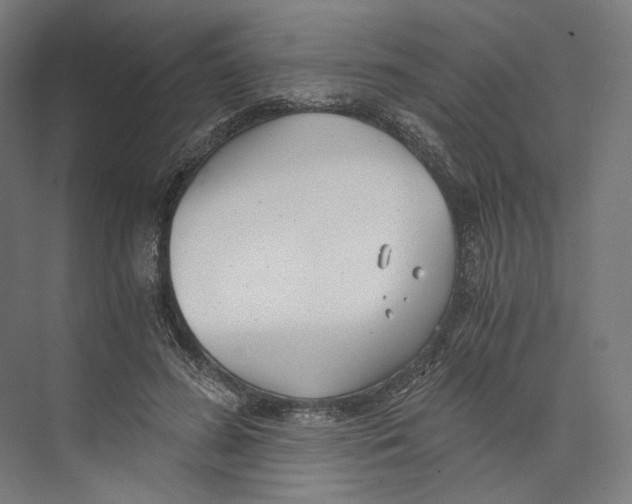 X0000073860596200609071635