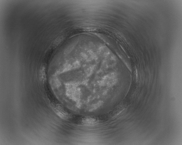 X0000073860598200609071635