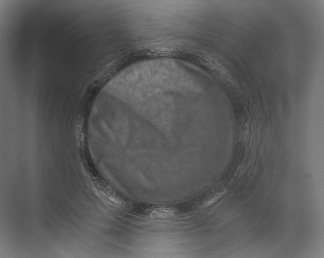 X0000073860599200609071635