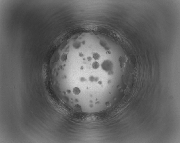 X0000073860600200609071635