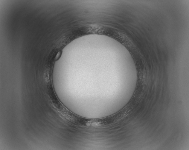 X0000073860602200609071635