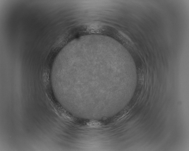 X0000073860603200609071635