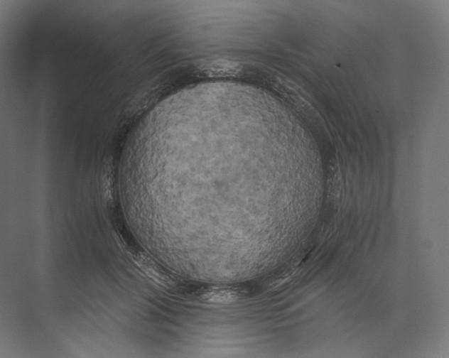 X0000073860604200609071635