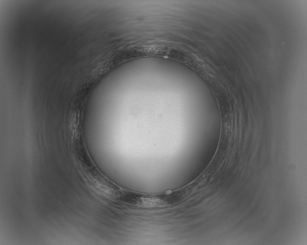 X0000073860605200609071635