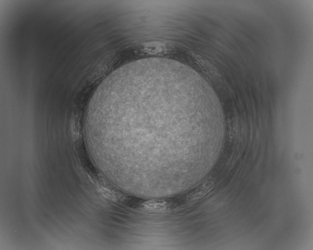 X0000073860606200609071635