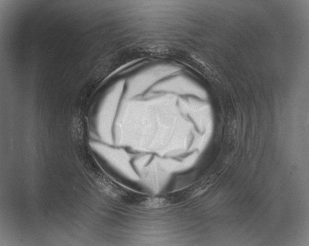 X0000073860609200609071635