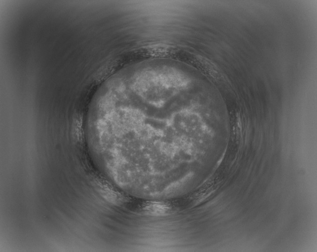 X0000073860610200609071635