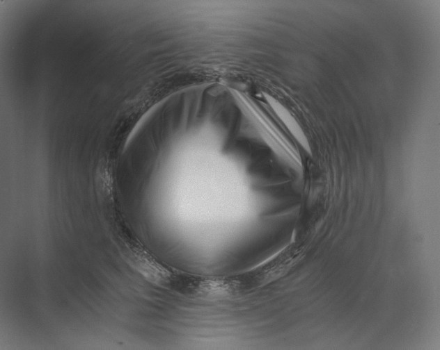 X0000073860613200609071635