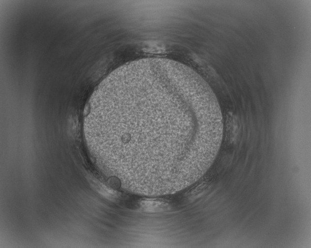 X0000073860614200609071635