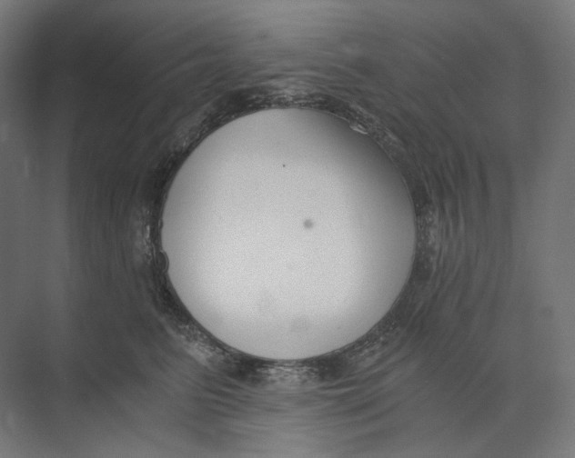 X0000073860615200609071635