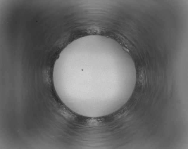 X0000073860616200609071635