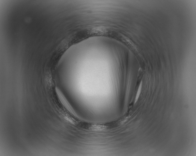 X0000073860617200609071635