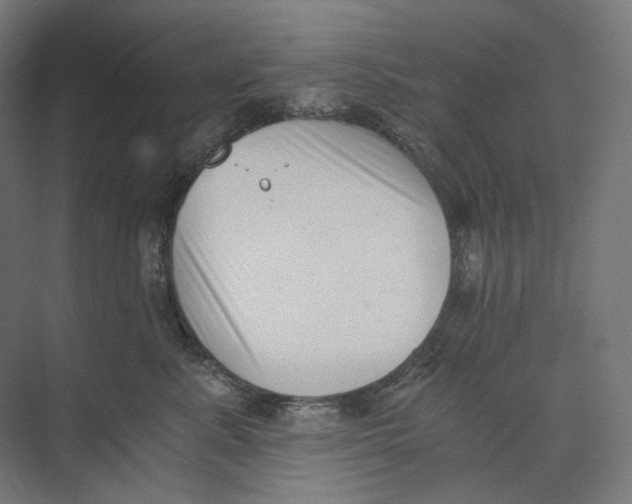 X0000073860619200609071635