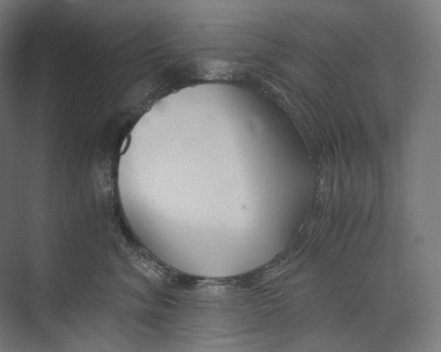 X0000073860620200609071635