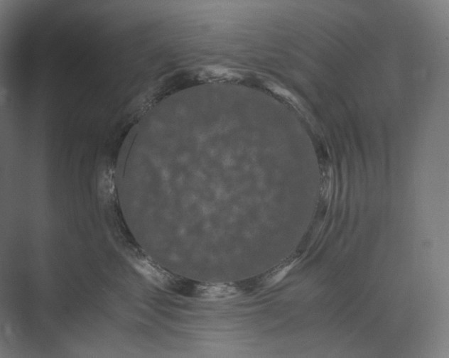 X0000073860621200609071635